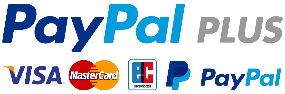 Paypal_Plus_Zahlung